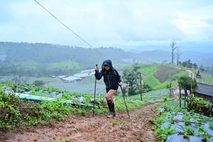 BIB: 
                            <button type="button" onclick="openModal(13378216)" class="btn btn-primary btn-sm float-right btn-popup" data-toggle="modal" data-target=".modal-high-quality">
                        <i class="fas fa-shopping-cart"></i> Add to Cart
                    </button>
                                            <button type="button" onclick="isThisMe(13378216, true)" class="btn btn-success btn-sm float-right btn-popup btn-isme hidden" data-toggle="tooltip" data-placement="bottom" title="นี่คือรูปของคุณใช่ไหม คลิกที่นี่เพื่อเอาเข้าอัลบั้ม">
                        <i class="fas fa-plus"></i> Add to album
                    </button>
                    <button type="button" onclick="isThisMe(13378216, false)" class="btn btn-warning btn-sm float-right btn-popup btn-isnotme hidden">
                        <i class="fas fa-ban"></i> Remove from album
                    </button>